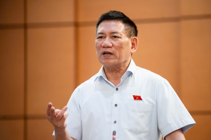 Phó thủ tướng Hồ Đức Phớc phát biểu tại thảo luận ở tổ, chiều 21/5. Ảnh: Phạm Thắng